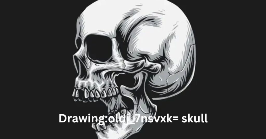 Drawingoldj_7nsvxk= skull