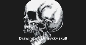 Drawingoldj_7nsvxk= skull